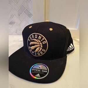 Toronto Raptors Snapback Hat